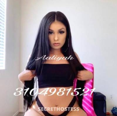 21Yrs Old Escort San Jose CA Image - 0