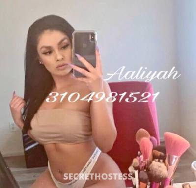 21Yrs Old Escort San Jose CA Image - 1