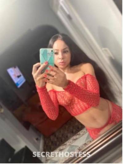 24Yrs Old Escort Los Angeles CA Image - 1