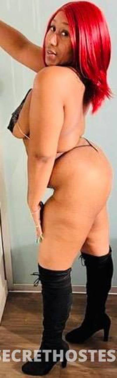 Mercedes 23Yrs Old Escort 160CM Tall Flagstaff AZ Image - 1