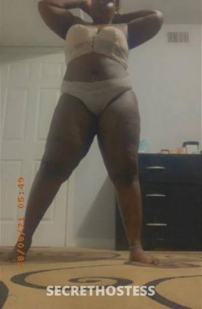 2-Thick 33Yrs Old Escort Tampa FL Image - 0