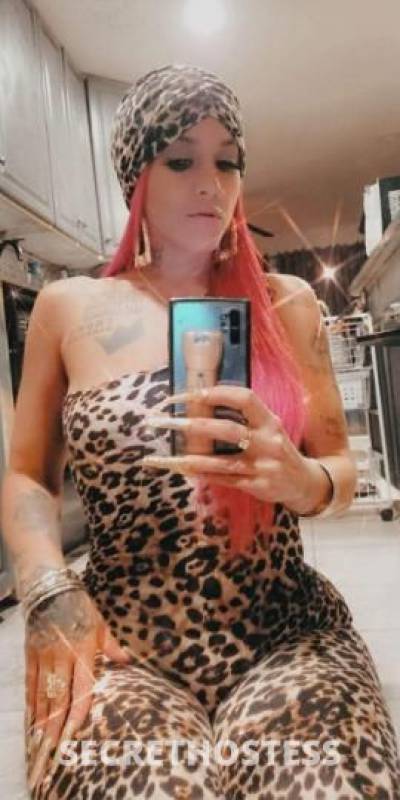 Alabama/Saphia 41Yrs Old Escort 157CM Tall Tampa FL Image - 10