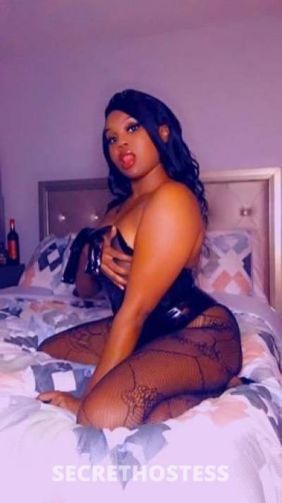 Mocha Monroe 25Yrs Old Escort Tampa FL Image - 3