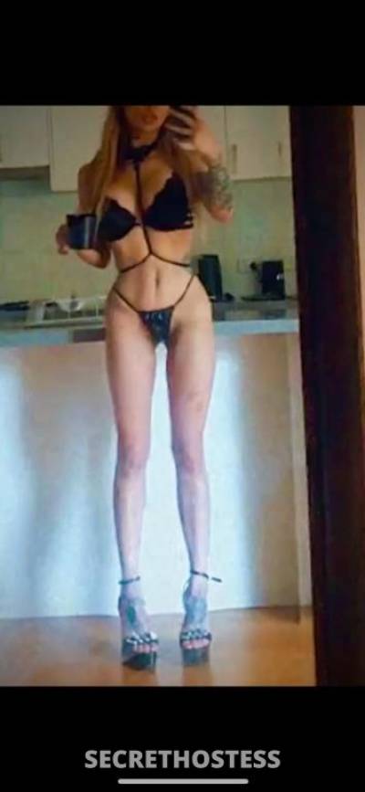 Sofia 24Yrs Old Escort Cairns Image - 5