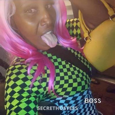 Trina 29Yrs Old Escort Treasure Coast FL Image - 5