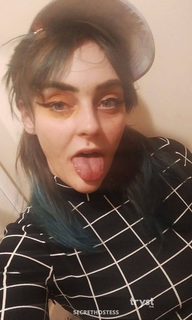 20Yrs Old Escort Size 8 162CM Tall Tucson AZ Image - 3