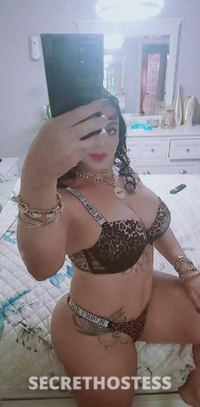 Bibi 38Yrs Old Escort Tampa FL Image - 0