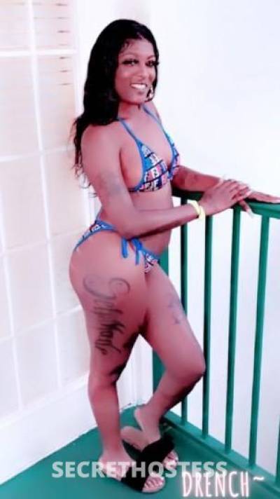 Drench 26Yrs Old Escort Tampa FL Image - 1