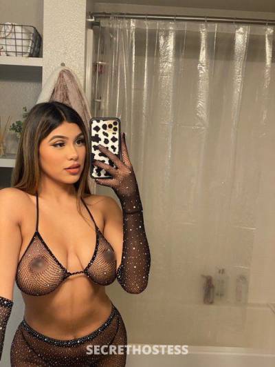 25 year old Escort in Maine ME ??? I’m ready to make you cum all day and night