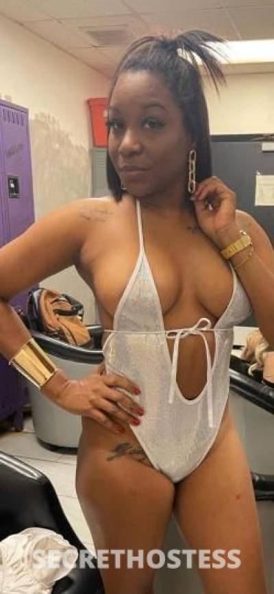 Latina 36Yrs Old Escort Tampa FL Image - 0