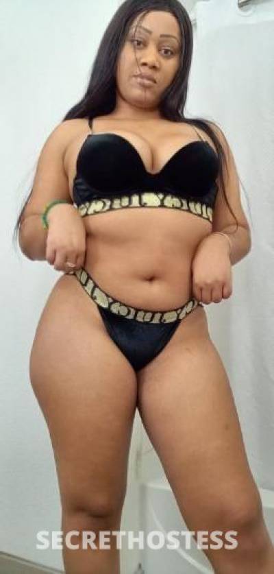 25 year old Latino Escort in Tampa FL ?Latina encantadora disponible ?Incall ?Satisfaccin total 24