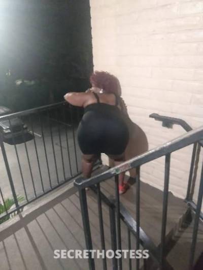 MS.JUICY 52Yrs Old Escort Tampa FL Image - 0