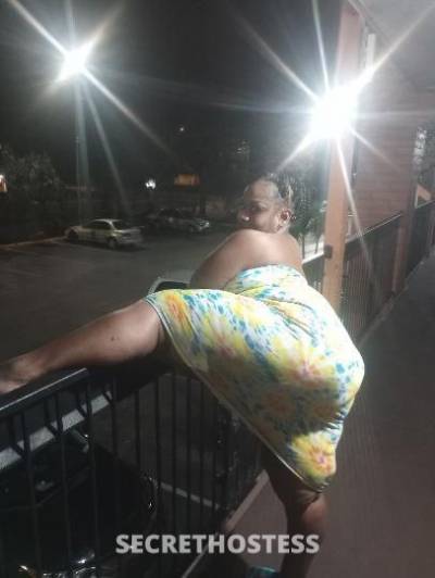 MS.JUICY 52Yrs Old Escort Tampa FL Image - 7