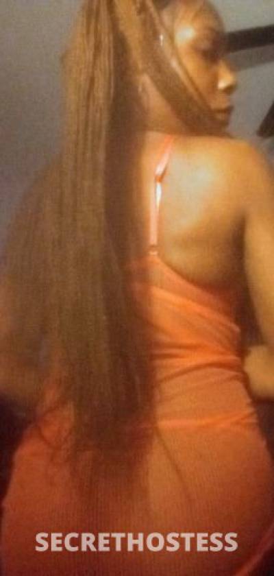 Mango 25Yrs Old Escort Tallahassee FL Image - 5