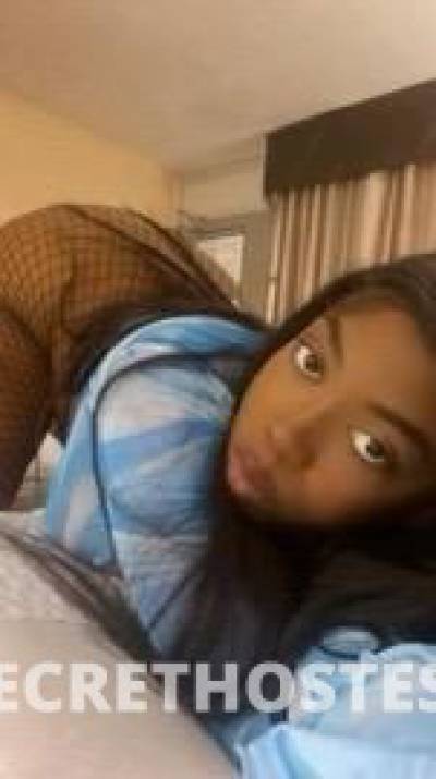 Sieanna 27Yrs Old Escort Tallahassee FL Image - 0