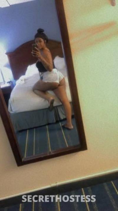 Tastycakes 24Yrs Old Escort 162CM Tall Tampa FL Image - 7