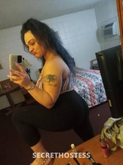 Whitegirl 24Yrs Old Escort Tampa FL Image - 4