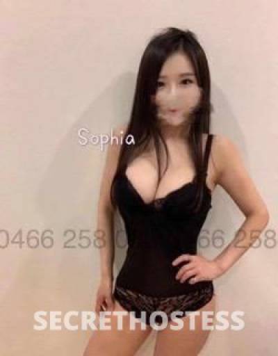 25Yrs Old Escort Size 8 164CM Tall Cairns Image - 1