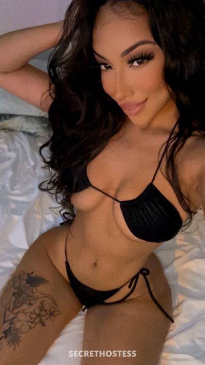 Tammy 23Yrs Old Escort Size 8 167CM Tall Lexington KY Image - 1