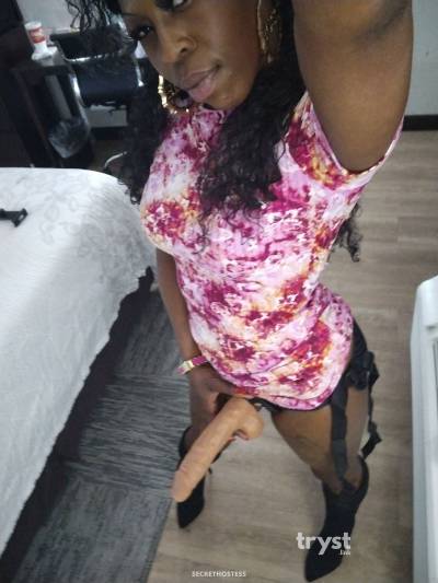 30Yrs Old Escort Size 8 165CM Tall Dallas TX Image - 7