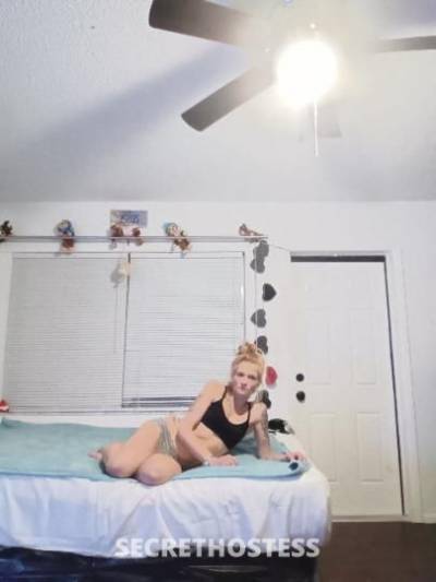 Alyssa 34Yrs Old Escort Bradenton FL Image - 6