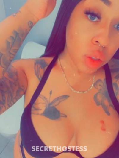 Bianca 26Yrs Old Escort Pensacola FL Image - 5