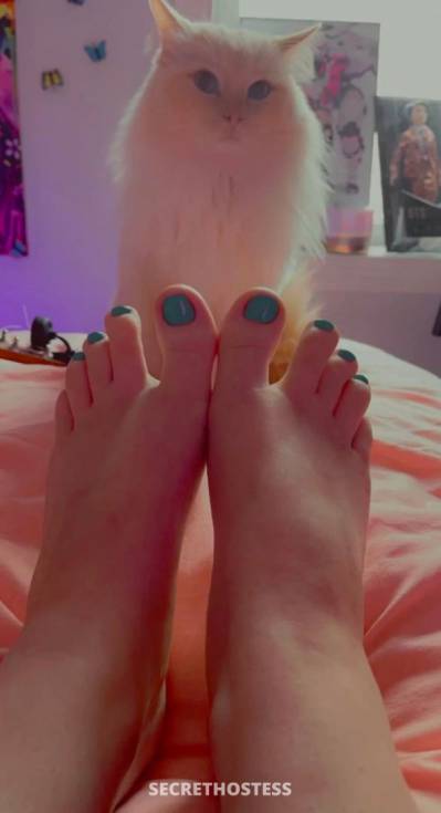 26 year old Escort in Evansville IN Ring me If you’re Horny ??? ..snap = jennifer_11005 Text 