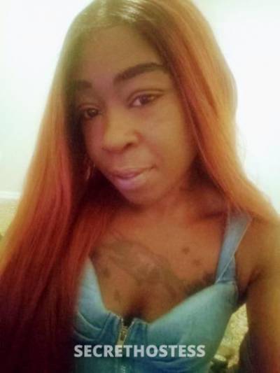 Muffinbae 26Yrs Old Escort Orlando FL Image - 1