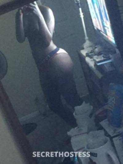 Sugardrop 23Yrs Old Escort Palm Bay FL Image - 1