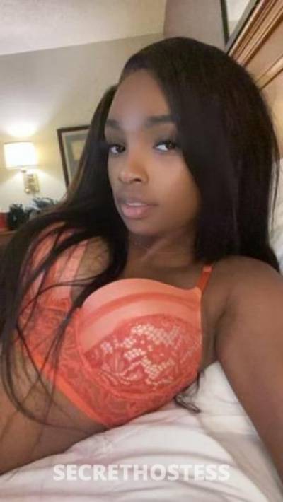 24Yrs Old Escort Miami FL Image - 3