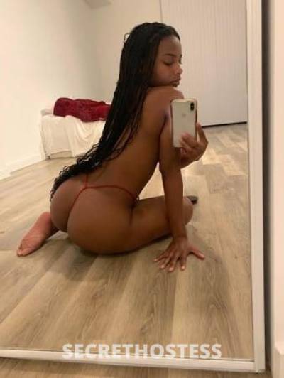 25 Year Old Latino Escort Orlando FL - Image 1