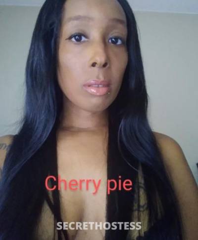 38Yrs Old Escort Fort Lauderdale FL Image - 2