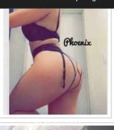 Harley 28Yrs Old Escort Orlando FL Image - 0