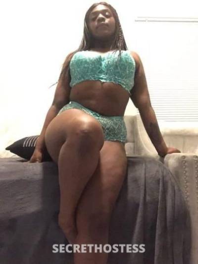 Zara 22Yrs Old Escort Orlando FL Image - 10