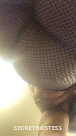 26Yrs Old Escort North Bay CA Image - 3