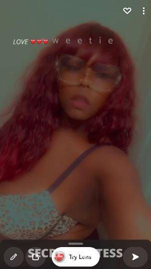 27Yrs Old Escort North Bay CA Image - 2