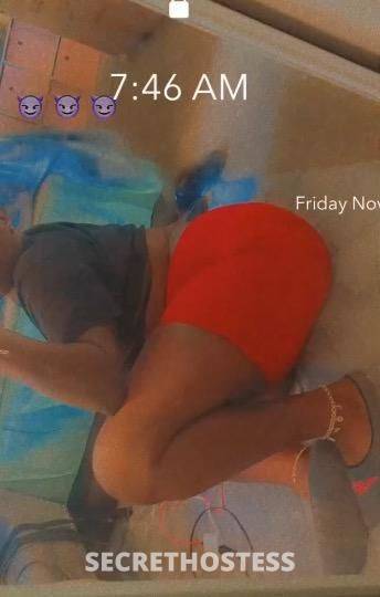 27Yrs Old Escort North Bay CA Image - 4