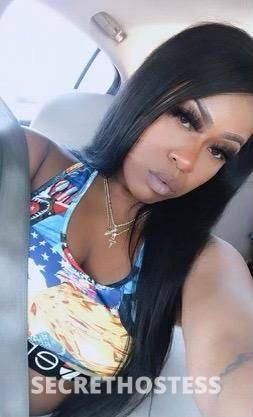 Amber 25Yrs Old Escort North Bay CA Image - 0