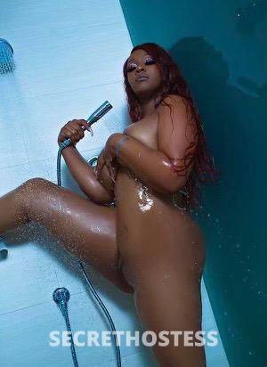 Amber 25Yrs Old Escort North Bay CA Image - 1
