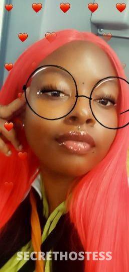 Queen 31Yrs Old Escort North Bay CA Image - 0