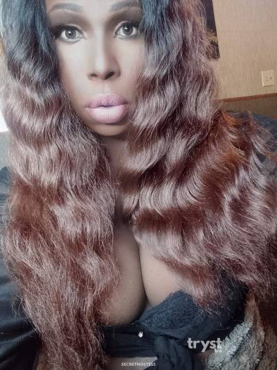 20 Year Old Black Escort Philadelphia PA Brunette - Image 4