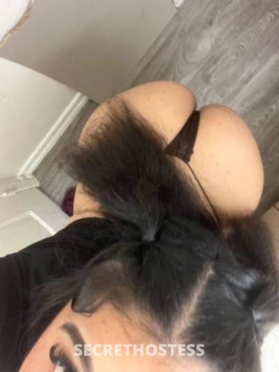 21 year old Escort in San Diego CA Panamanian princess
