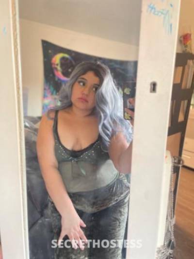 22Yrs Old Escort North Bay CA Image - 3