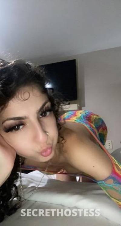 23Yrs Old Escort San Francisco CA Image - 1