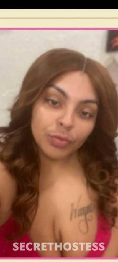 24Yrs Old Escort Concord CA Image - 1