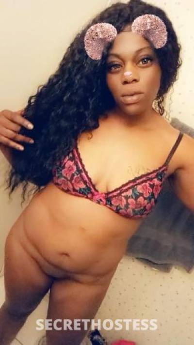 24Yrs Old Escort San Fernando Valley CA Image - 0