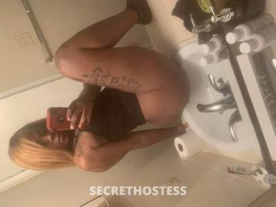 26Yrs Old Escort San Diego CA Image - 2