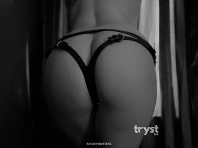 30 Year Old Caucasian Escort New York City NY Blonde - Image 3