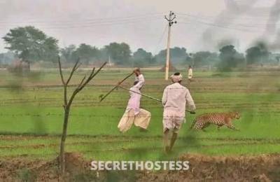 32 year old Escort in San Francisco CA ager acc a je kotha bolsi ota mittha