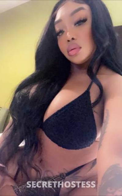 Lola 24Yrs Old Escort 154CM Tall San Jose CA Image - 3